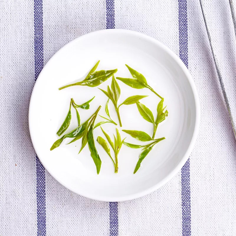 苦丁