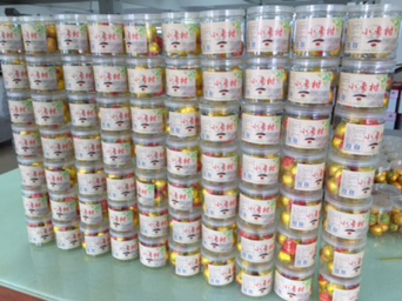 大量批发成品小青柑