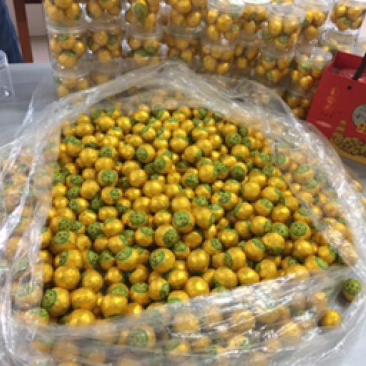 大量批发成品小青柑