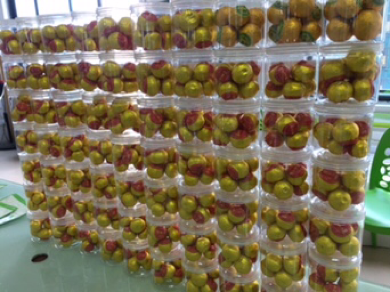 大量批发成品小青柑