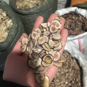 鹿茸片保证正品鹿茸片鹿角规格齐全