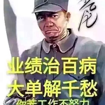 搬运工