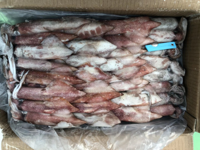 印尼比管