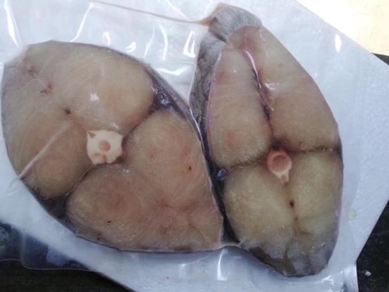 马胶鱼