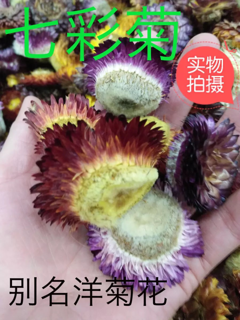 七彩菊花茶