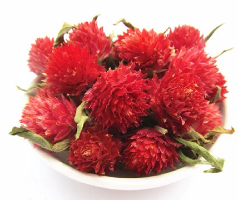 红巧梅花茶