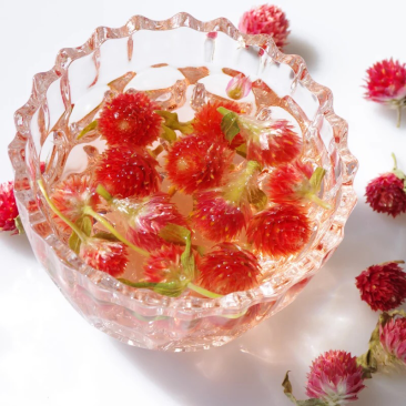 红巧梅花茶