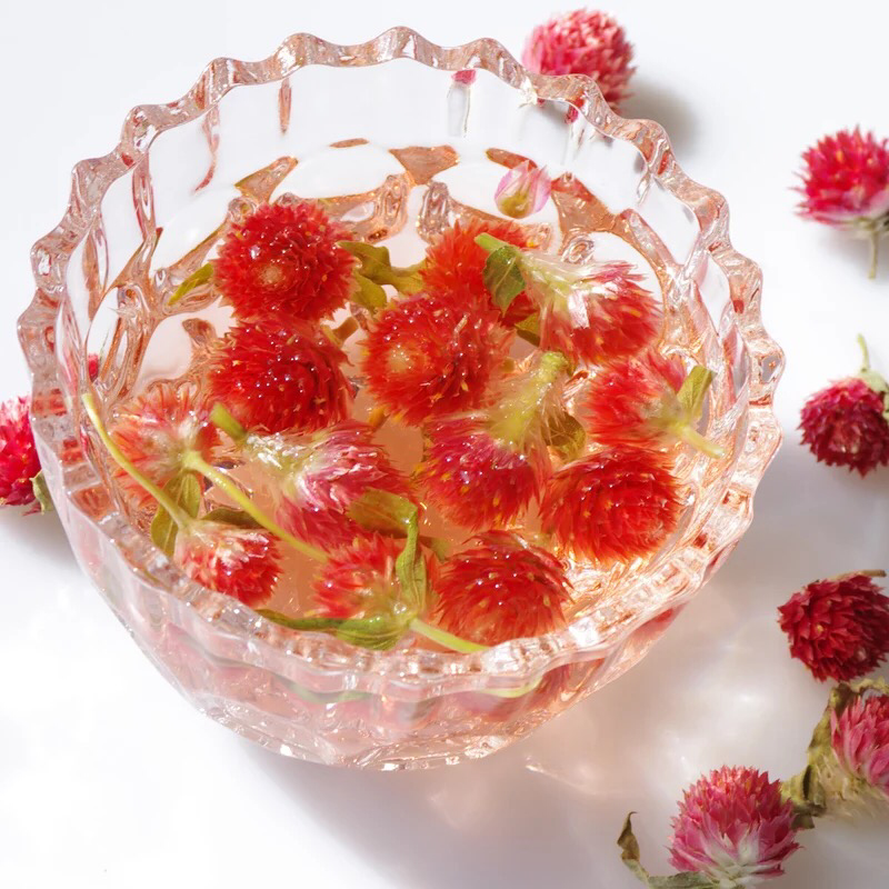 红巧梅花茶