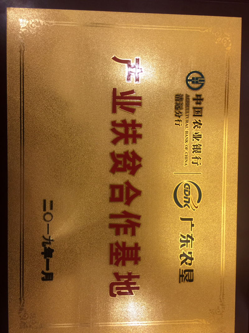 连府人家腐竹