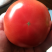 精品西红柿🍅👍精品硬粉，耐运输，弧三以上★价位便宜