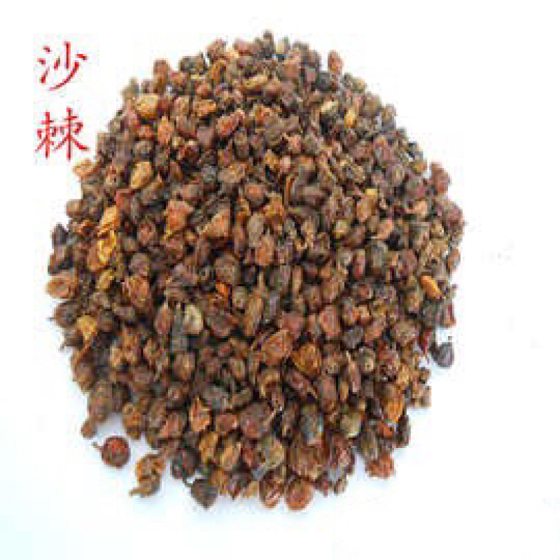 沙棘