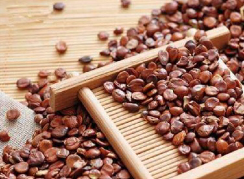 酸枣仁
