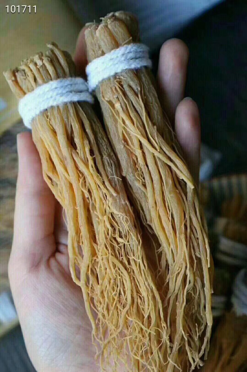红参须