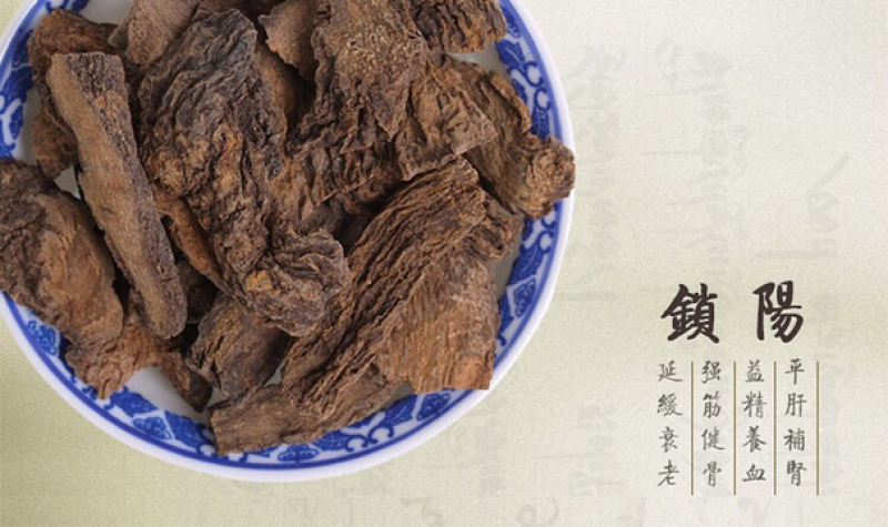 锁阳