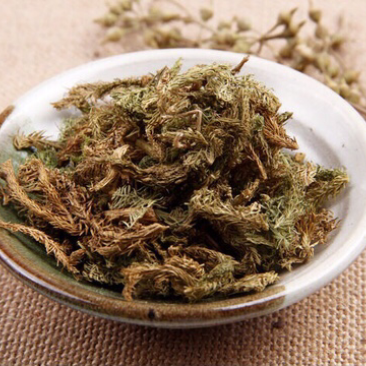 伸筋草
