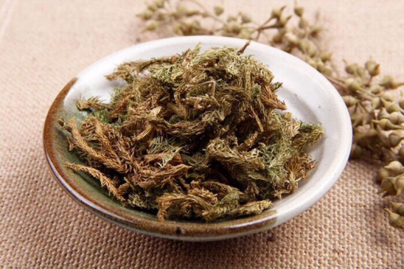 伸筋草