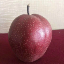 全红梨
