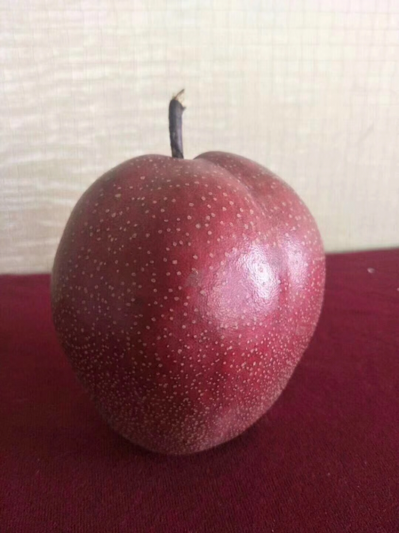 全红梨