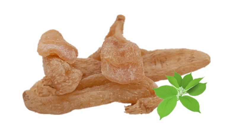 天麻