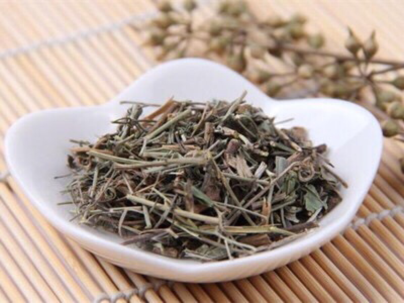 透骨草
