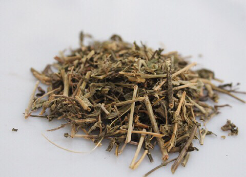 透骨草