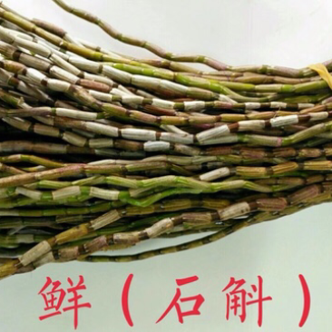 鲜石斛