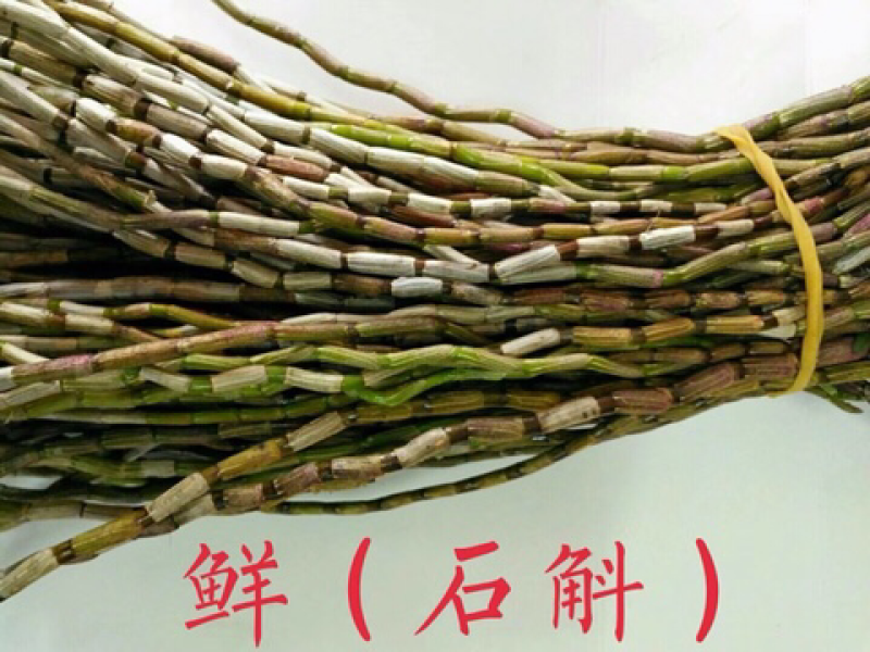 鲜石斛