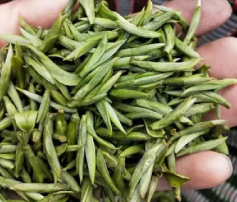 明前西湖龙井茶
