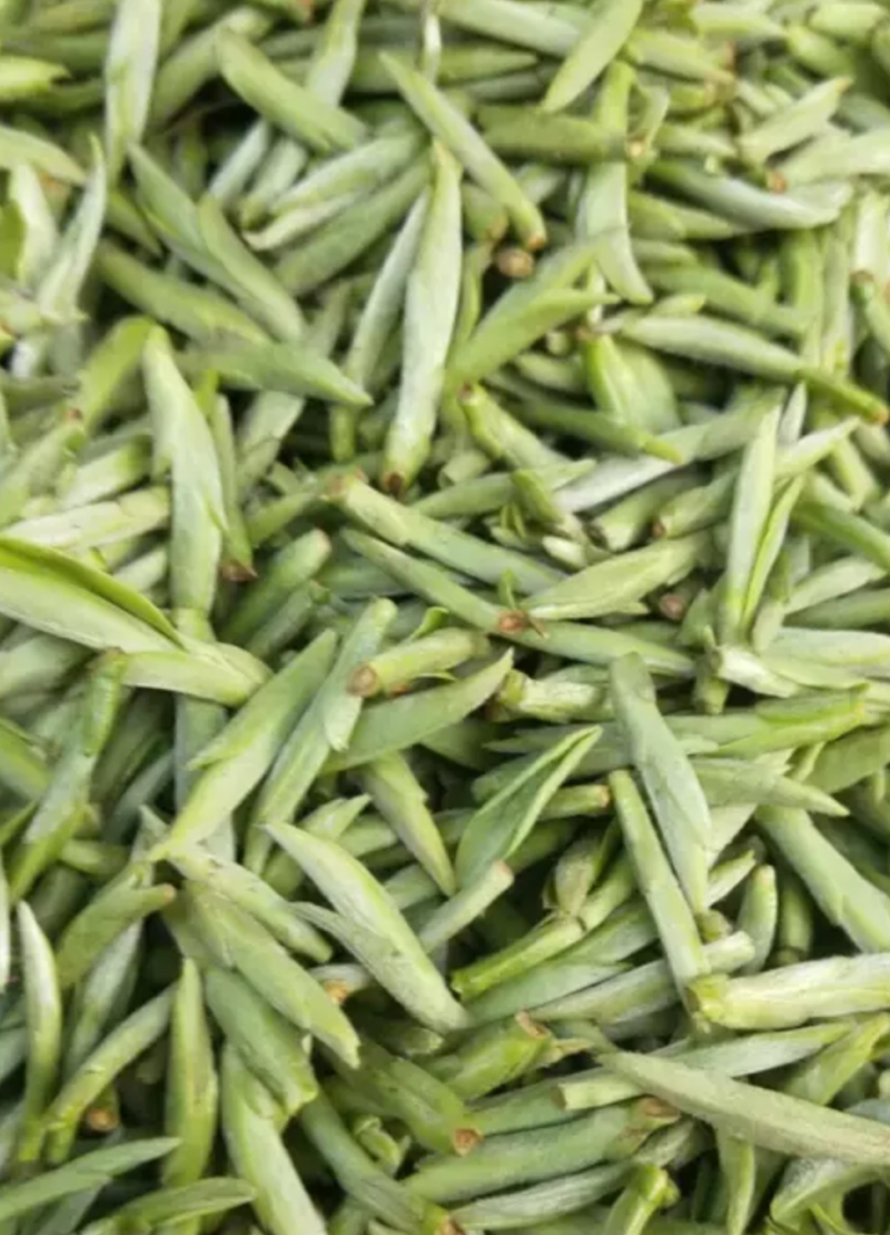 明前西湖龙井茶