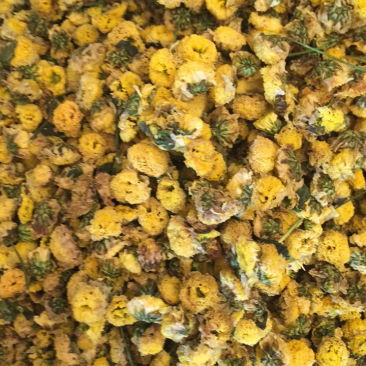 人工种植野菊花低温烘焙颜色好看