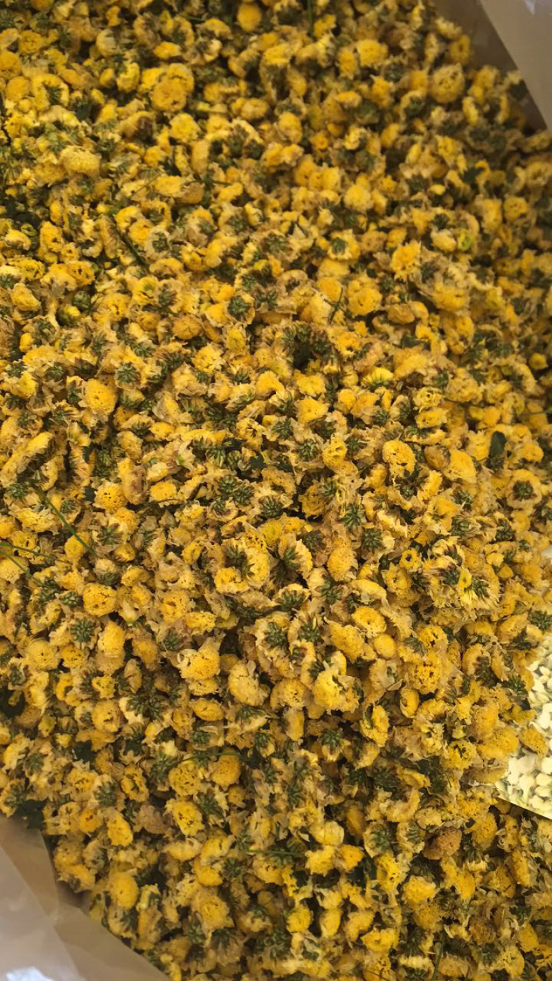 人工种植野菊花低温烘焙颜色好看