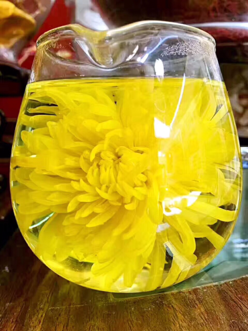 🌼金丝皇菊