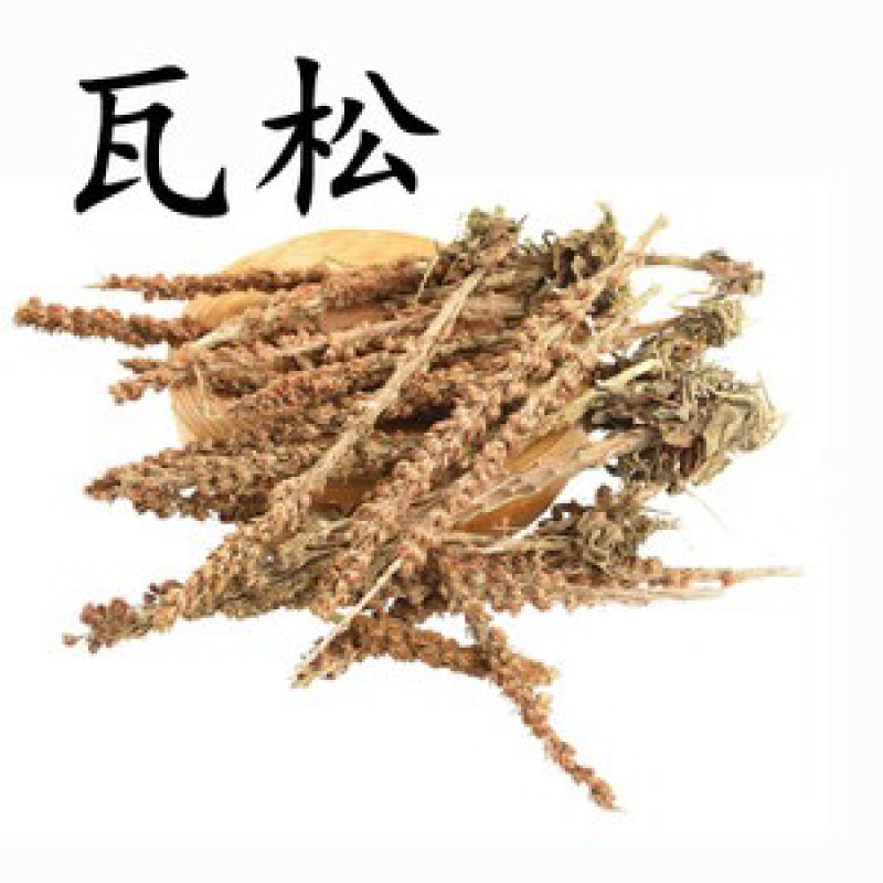 瓦松