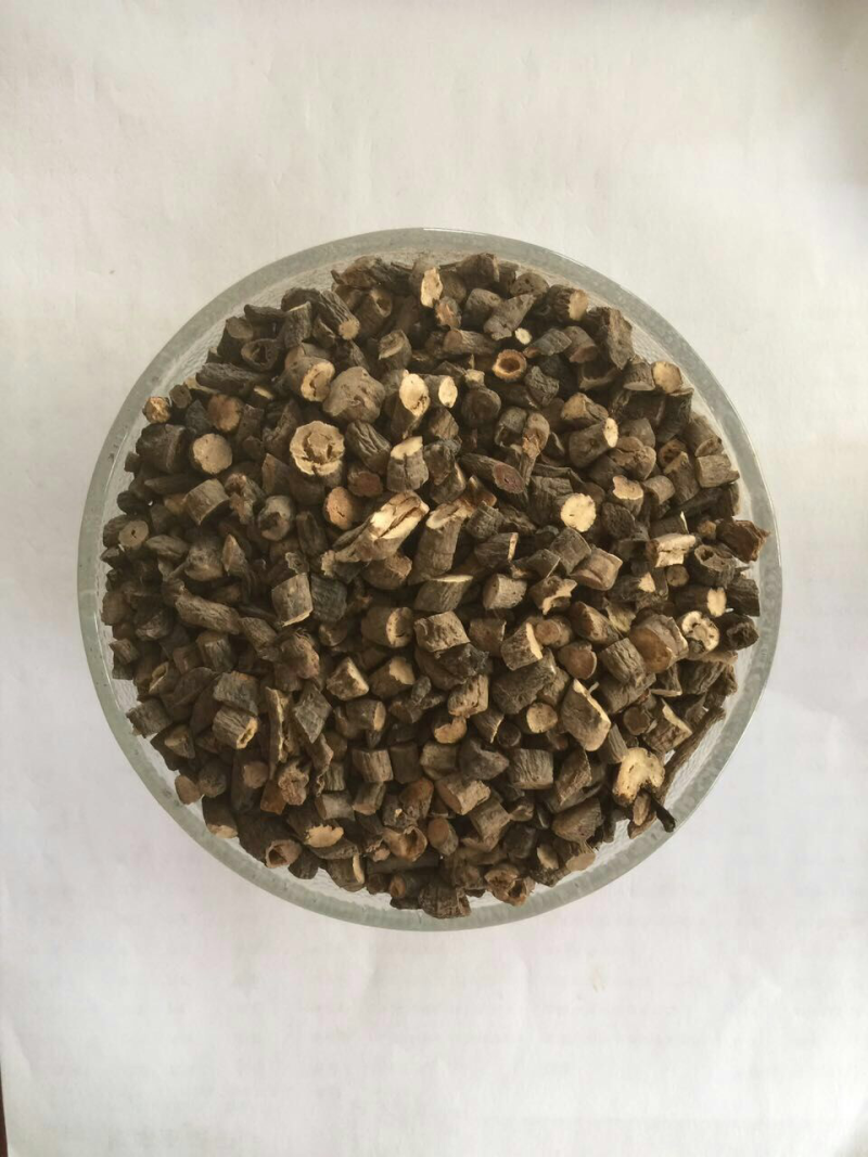 仙茅