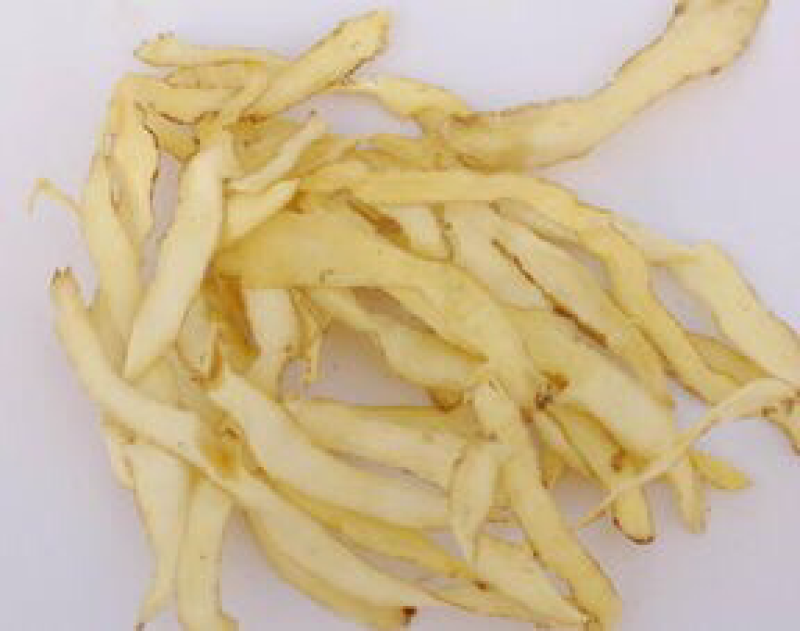 玉竹