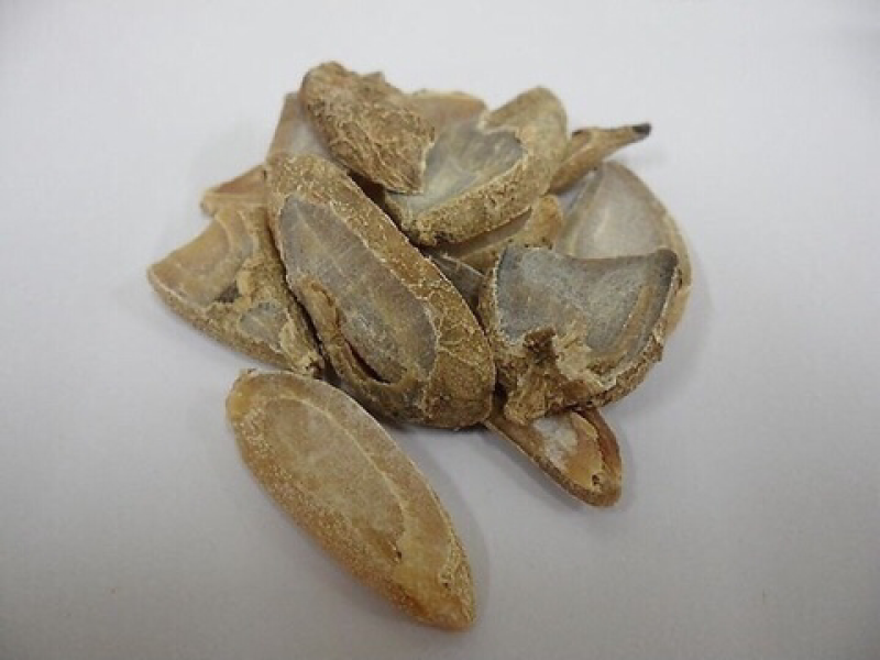 郁金
