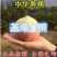 中华寿桃苗盆栽地栽果树苗桃树树苗当年结果南北方种植带土