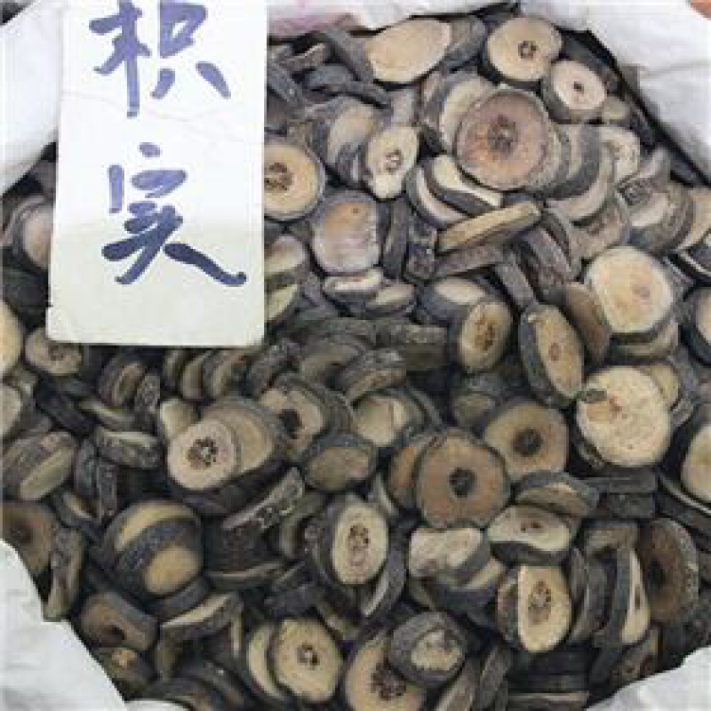 枳实