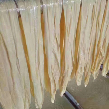 腐竹