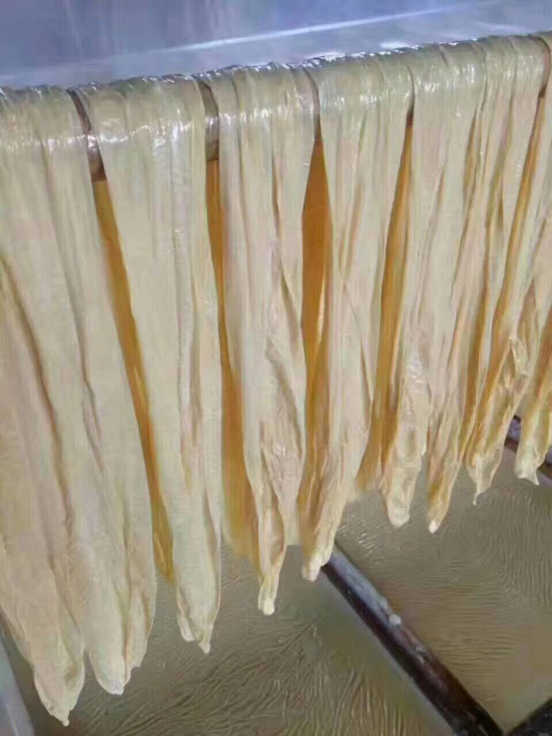 腐竹