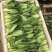 山东曹县油菜上海青商超精品，油菜现采现发