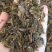 暴马丁香种子