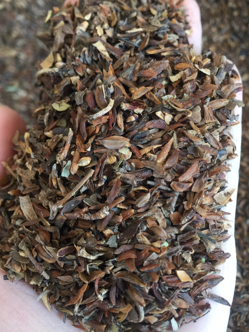 健康选择长期供应正宗***蜂蜜