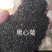 黑心菊种子