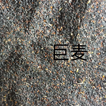 五彩石竹种子纯新种子