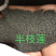 多瓣半枝莲种子