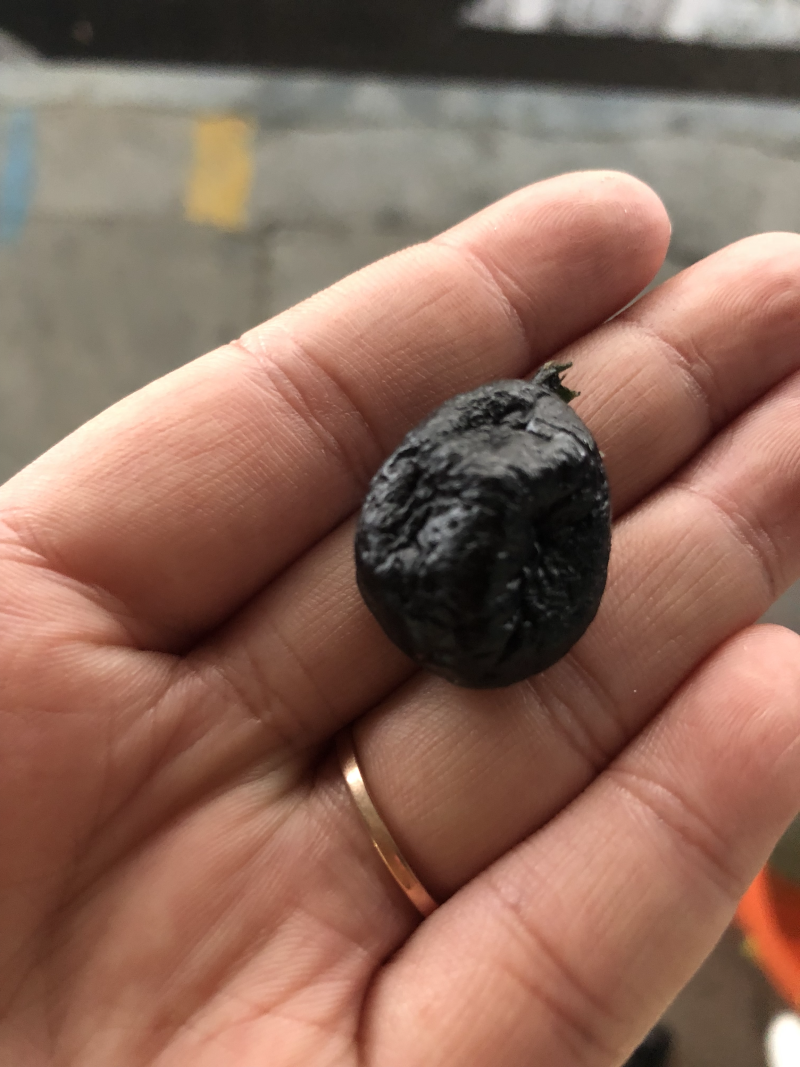 黑金橘