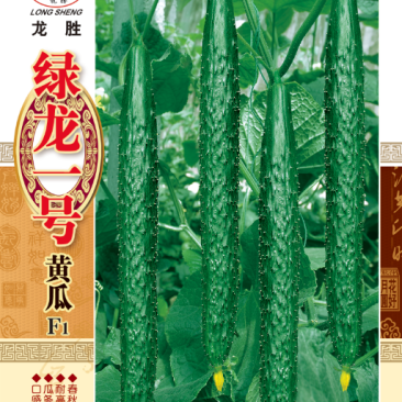 高抗霜霉病白粉病，耐高温露地专用优质黄瓜种子