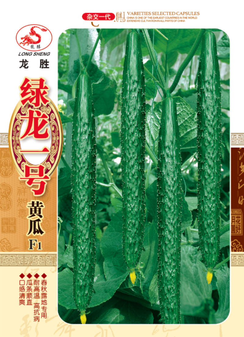高抗霜霉病白粉病，耐高温露地专用优质黄瓜种子