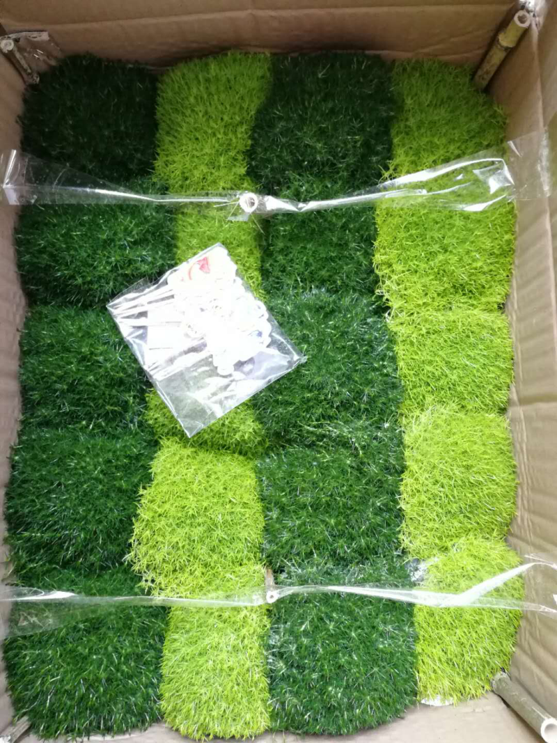 120#珍珠草